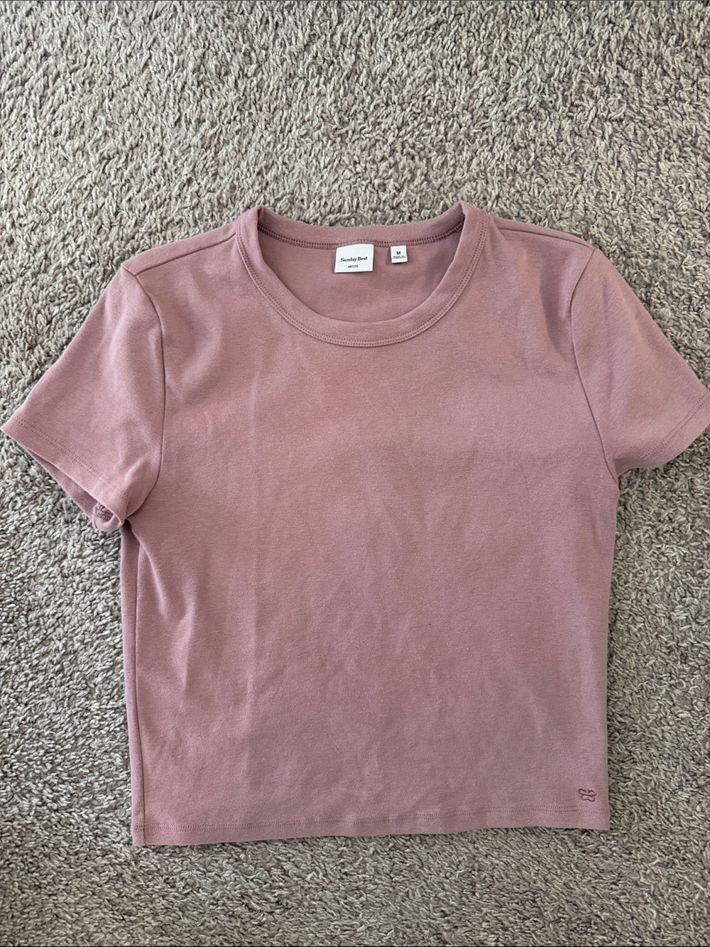 Aritzia Mauve Short Sleeve Tee